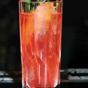 Nachtmann Aspen Collection Highball Glass