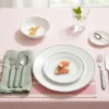 Corelle Livingware Double Ring Dinner Set